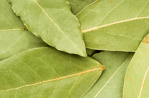 Bay Leaf - Whole - The Spice Guy