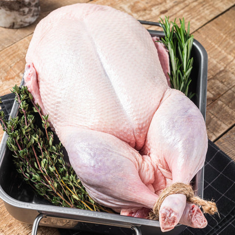 Bird Brine - The Spice Guy