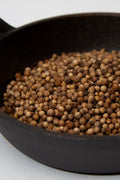 Coriander - Whole - The Spice Guy