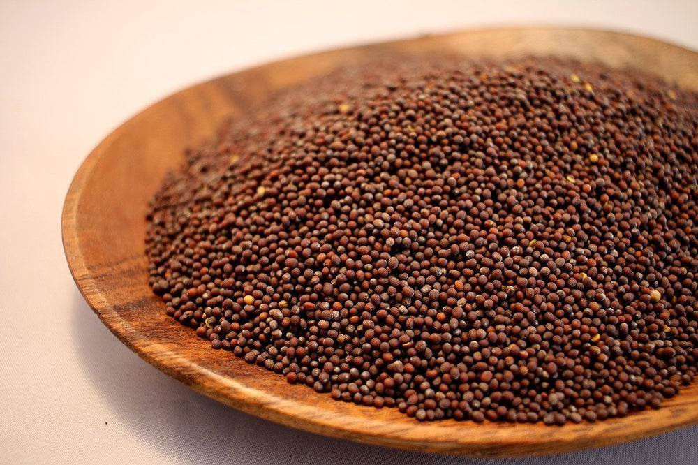 Mustard Seed - Brown - The Spice Guy